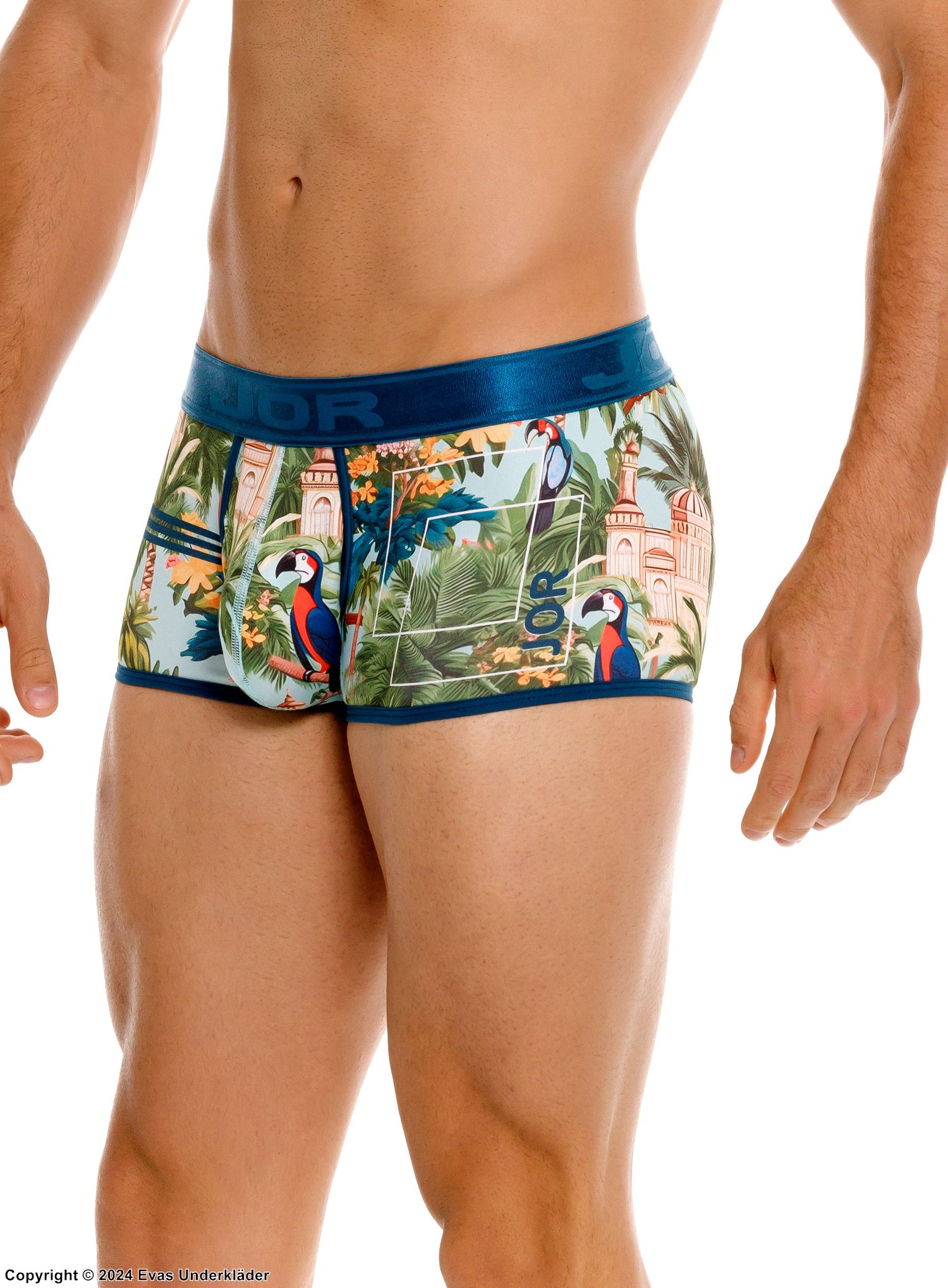 Men's boxer briefs, tropical pattern